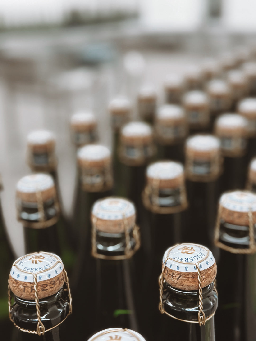 Pol Roger Visit & Tasting Notes